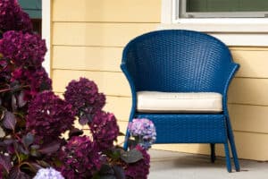 Blue wicker chair on a sunny beach house porch with hydrangeas