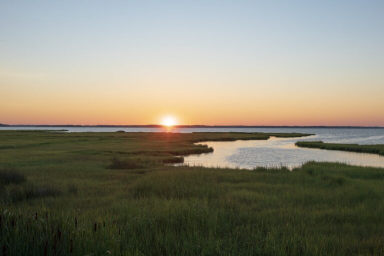 Golden sunset over the marsh and calm waters of Assawoman Bay in Ocean City, Maryland